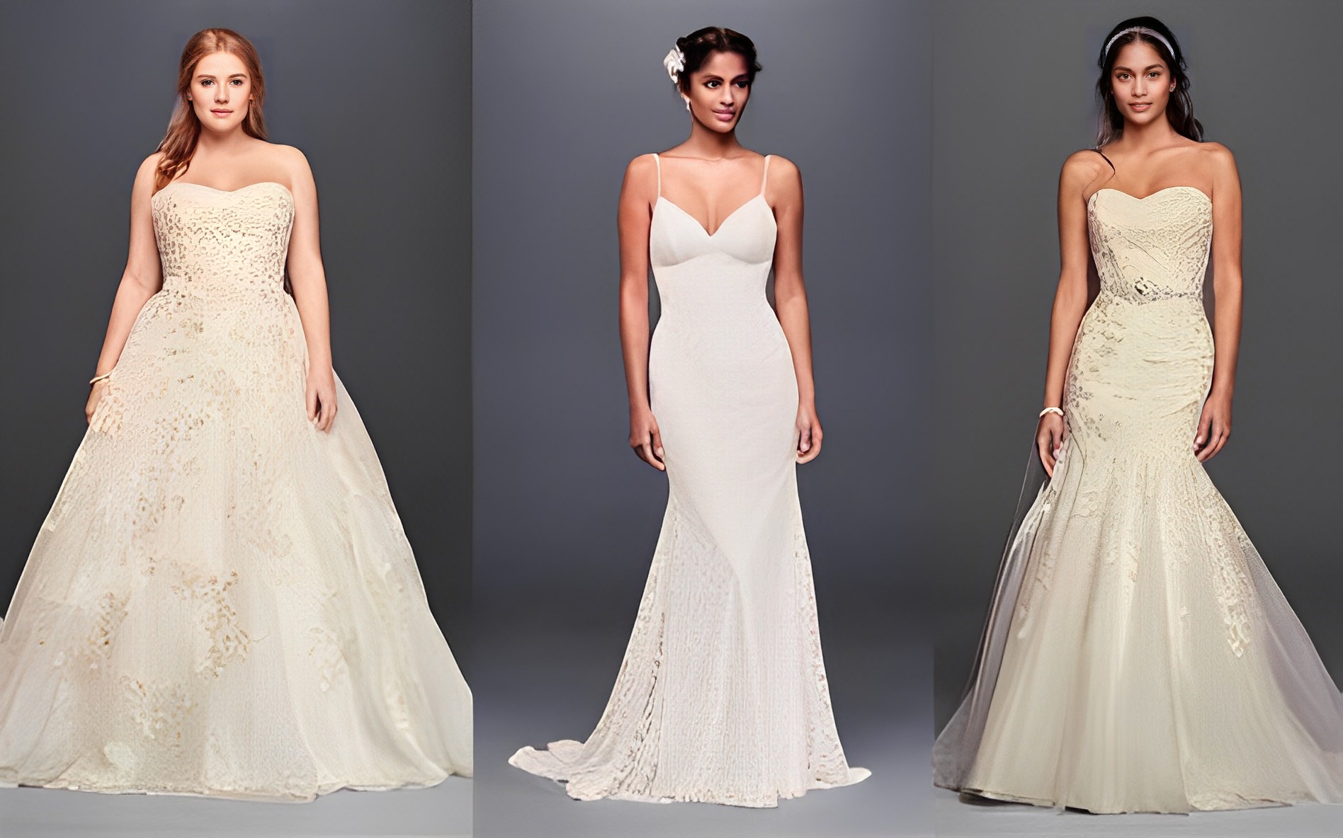  chosen your wedding dress 